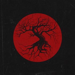 sm车内风油精视频
