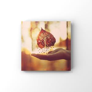 sm车内风油精视频
